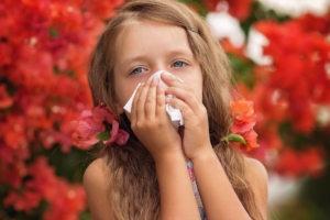 Young girl sneezes due to seasonal allergies with tissue covering her nose. She has red flowers in her hair and red flowers are in the background.